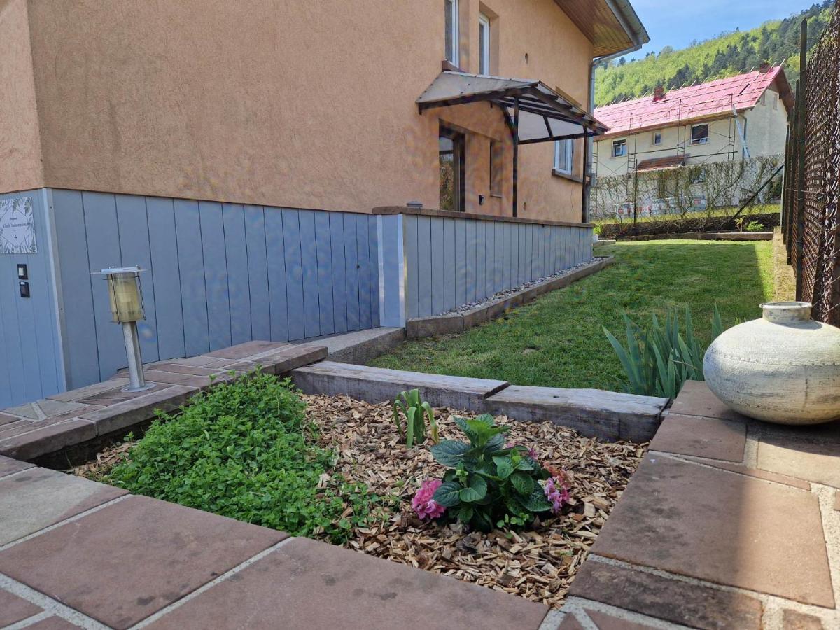 L'Ecole Buissonniere Apartment Dabo Luaran gambar